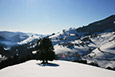 St. Märgen im Winter - Wintersport für alle